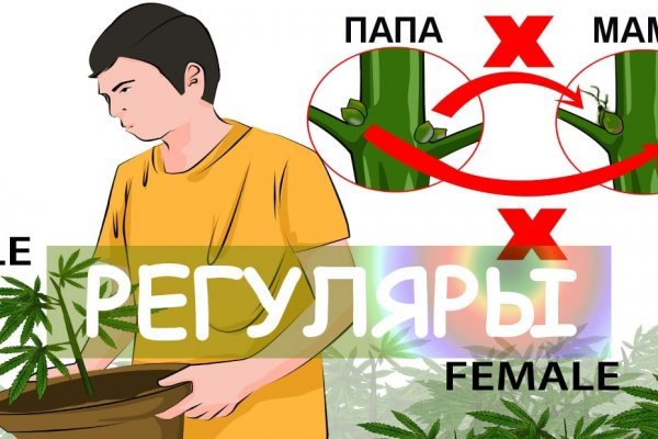 Как купить через кракен